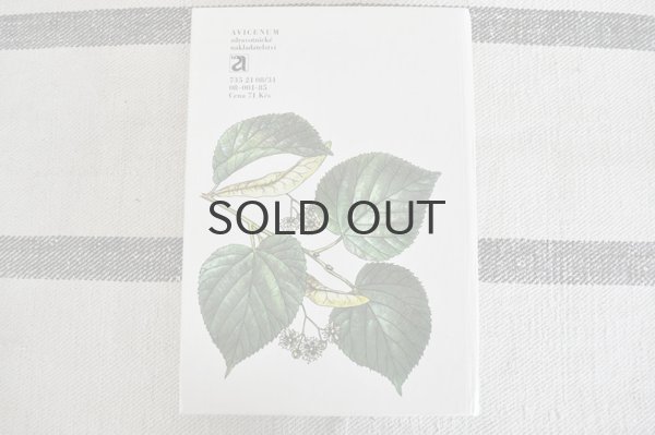 画像9: チェコ・Naše rostliny vlékařství 薬草花 1981