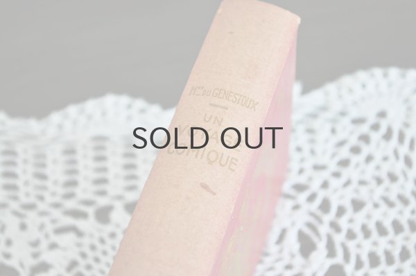 画像3: フランス・アンティーク BIBLOTHEQUE ROSE ILLUSTREE/UN VOYAGE COMIQUE