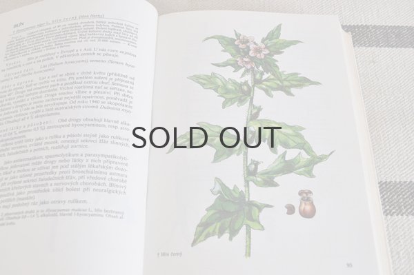 画像4: チェコ・Naše rostliny vlékařství 薬草花 1981