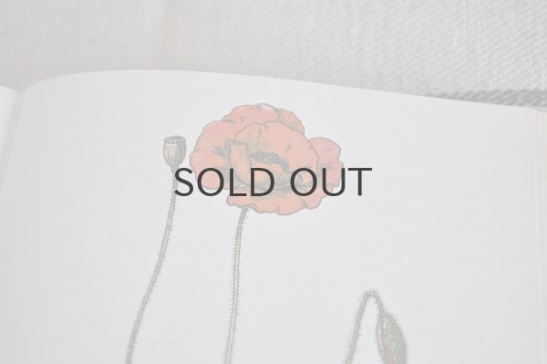 画像7: チェコ・Naše rostliny vlékařství 薬草花 1981