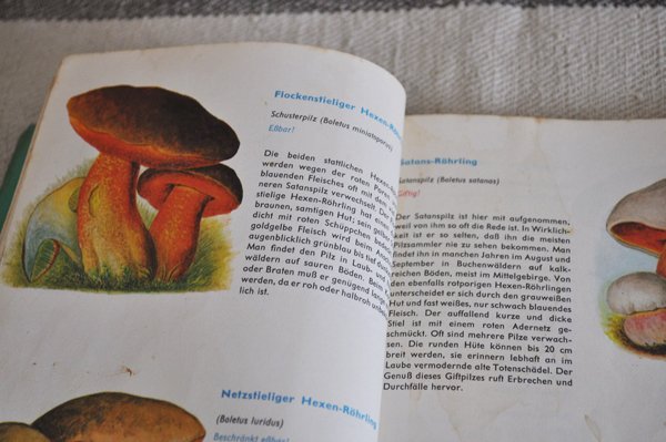 画像6: ドイツ・DDR(旧東ドイツ時代)きのこの本/Pilz kochbuch 1963