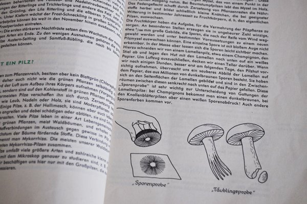 画像4: ドイツ・DDR(旧東ドイツ時代)きのこの本/Pilz kochbuch 1963