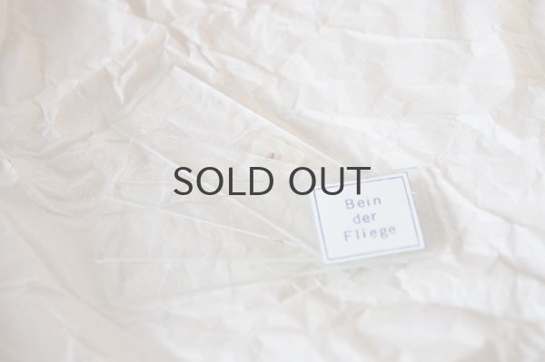 画像6: ドイツ・西ドイツ時代 ヴィンテージ 顕微鏡/箱付