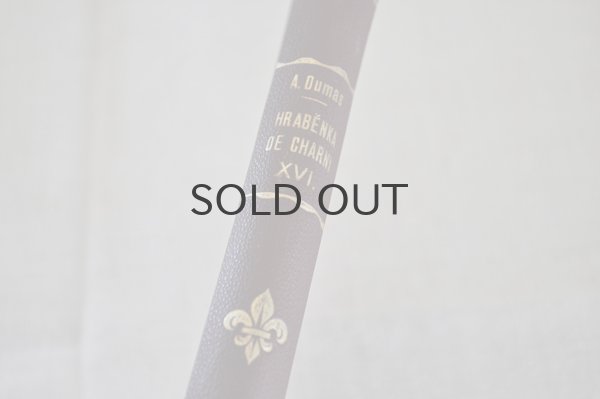 画像7: チェコ・古本 HRABENKA DE CHARNY/XVI　1925年