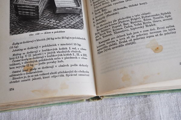 画像6: チェコ・きのことベリーの図鑑 Plody a houby 1965年