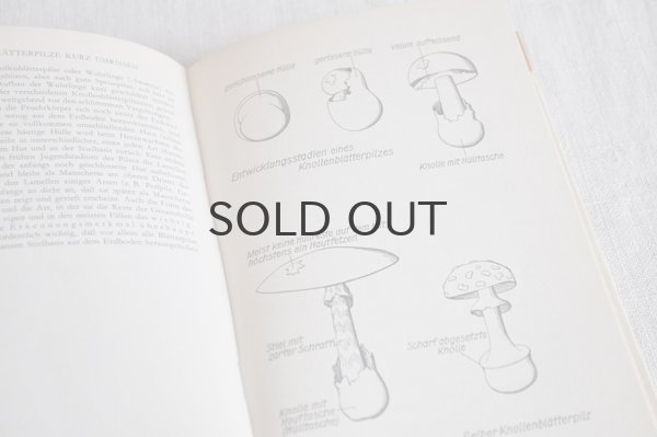 画像6: ドイツ・DDR（東ドイツ時代）ヴィンテージきのこ図鑑/Heimische Pilze1　1965年