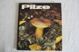 画像1: ドイツ・DDR（東ドイツ時代）きのこ図鑑 Pilze1986年 (1)