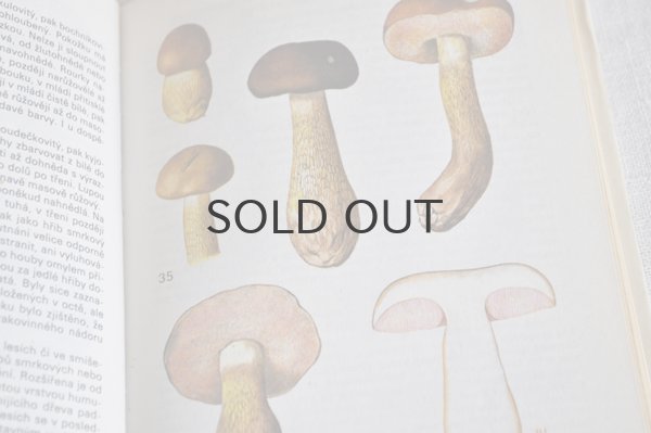 画像3: チェコ・ヴィンテージ きのこ図鑑/KAPESNÍ ATLAS HUB 1986年