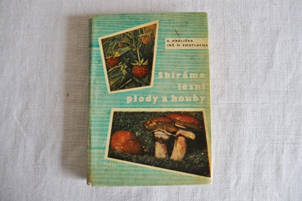 画像1: チェコ・きのことベリーの図鑑 Plody a houby　1965年