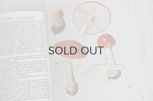 画像4: チェコ・ヴィンテージ きのこ図鑑/KAPESNÍ ATLAS HUB 1986年