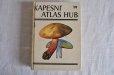 画像1: チェコ・ヴィンテージ きのこ図鑑/KAPESNÍ ATLAS HUB 1986年 (1)