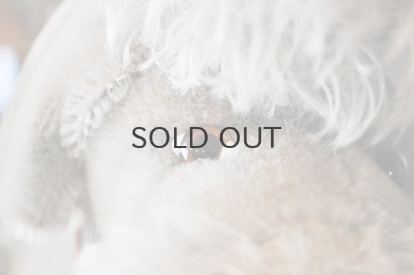 画像5: ドイツ・ヴィンテージ プードルのぬいぐるみ/グレージュ