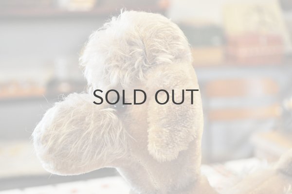 画像4: ドイツ・ヴィンテージ プードルのぬいぐるみ/シルバーベージュ