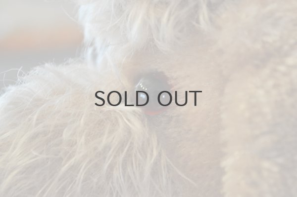 画像6: ドイツ・ヴィンテージ プードルのぬいぐるみ/シルバーベージュ