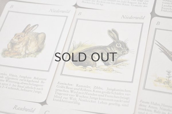 画像4: ドイツ・ヴィンテージ カード/Weidmanns Heil!/動物