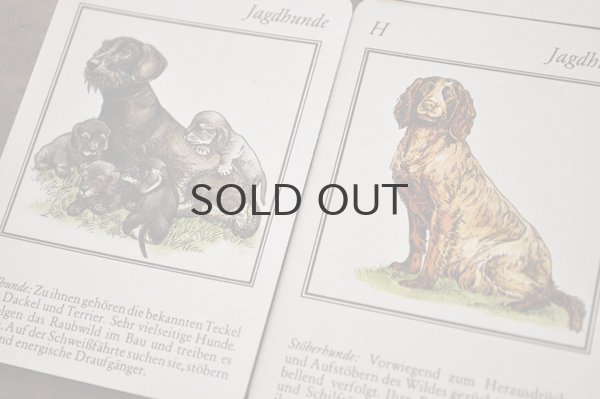 画像9: ドイツ・ヴィンテージ カード/Weidmanns Heil!/動物