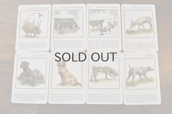 画像8: ドイツ・ヴィンテージ カード/Weidmanns Heil!/動物