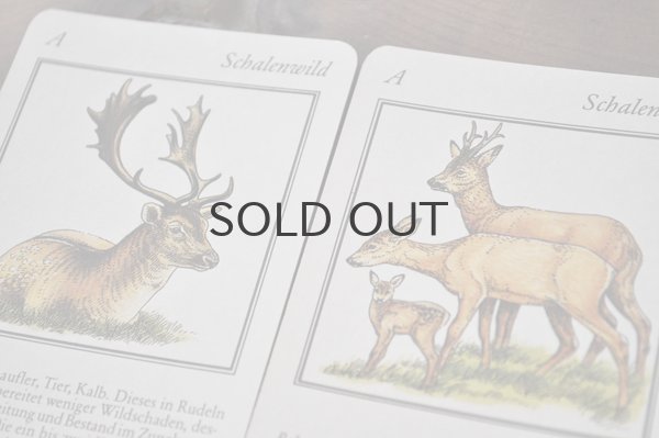 画像3: ドイツ・ヴィンテージ カード/Weidmanns Heil!/動物
