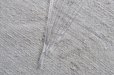 画像5: ドイツ・ヴィンテージ プラスチック製フルーツピック6本セット/A (5)
