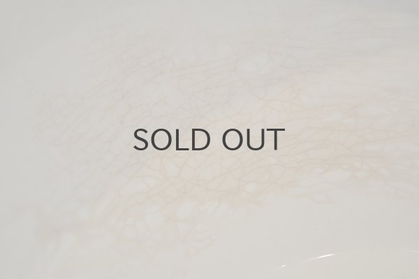 画像4: フランス・アンティーク ディゴワンサルグミンヌ スーピエール/XL