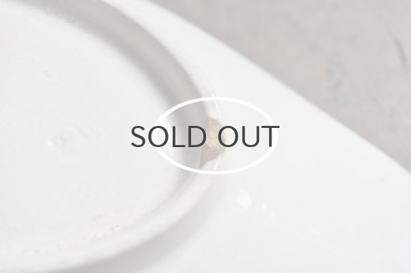 画像5: フランス・アンティーク SARREGUEMINES ALGER ラヴィエ