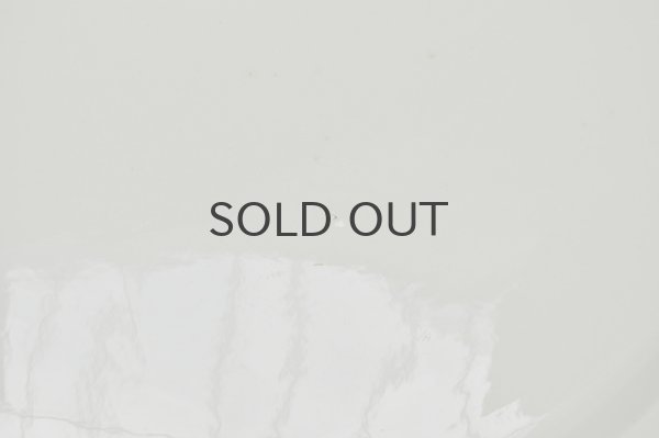 画像4: 【送料無料】フランス・アンティーク サルグミンヌ 花リム/オーバル プラッター大皿