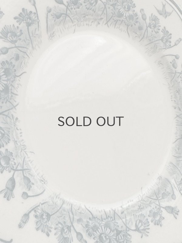 画像5: フランス・アンティーク サルグミンヌ ツバメとヒナギク/24.5cm