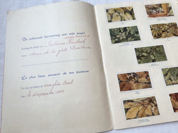 画像2: ベルギー・アンティーク　クロモカードコレクションブック/1964年