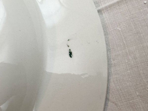 画像7: ベルギー・BOCH（ボッホ） CARLOTTAシリーズ／深皿