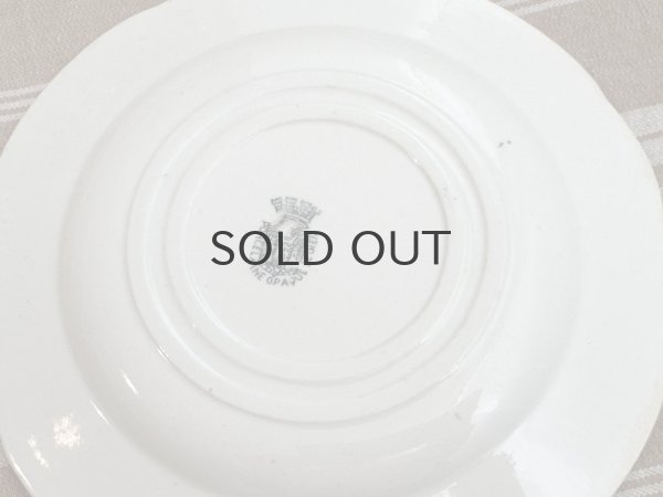 画像4: フランス・GIEN（ジアン）絵皿/グリザイユ/トーキングプレート