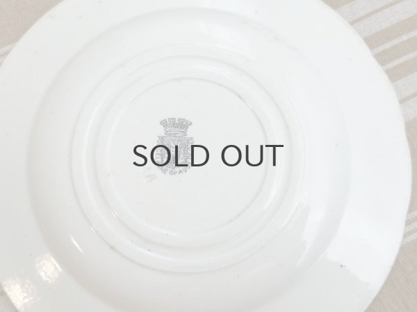 画像4: フランス・GIEN（ジアン）絵皿/グリザイユ/トーキングプレート