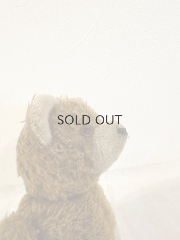 画像6: ドイツ・ヴィンテージ テディベア まんまる顔とまんまる耳 30cm