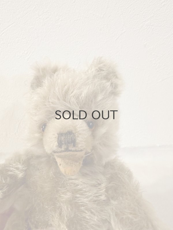 画像4: ドイツ・ヴィンテージ ゾッティタイプ　赤ちゃんみたいなベア　20cm