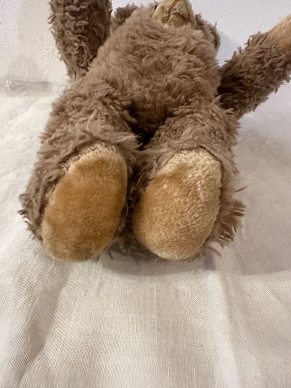 画像5: ドイツ・ヴィンテージ テディベア 赤ちゃんみたいな ベージュ34.5cm
