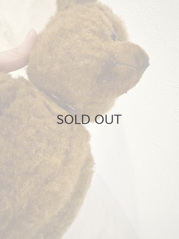 画像8: ドイツ・ヴィンテージ テディベア びっくり顔のこげ茶くん 38cm