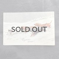 フランス・ヴィンテージポストカード/犬と猫の追いかけっこ