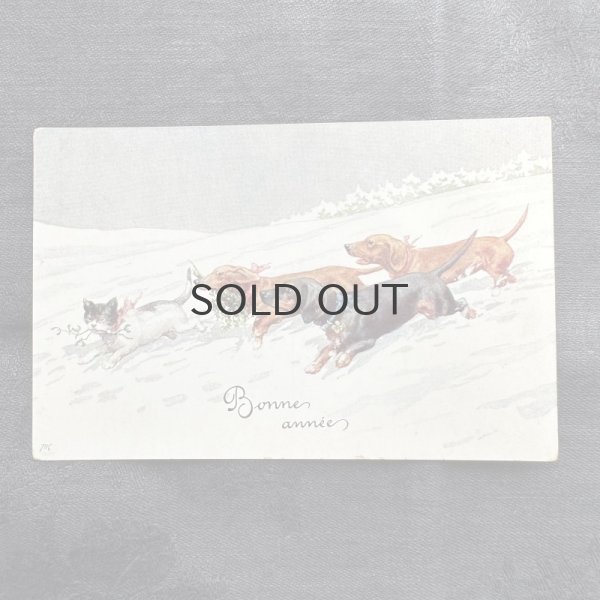 画像1: フランス・ヴィンテージポストカード/犬と猫の追いかけっこ