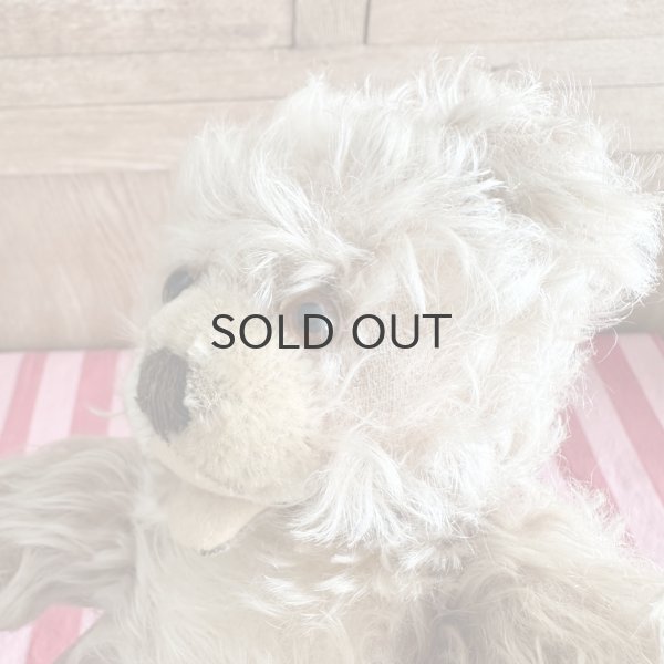 画像5: ドイツ・ヴィンテージ ゾッティタイプ　赤ちゃんみたいなベア　26cm