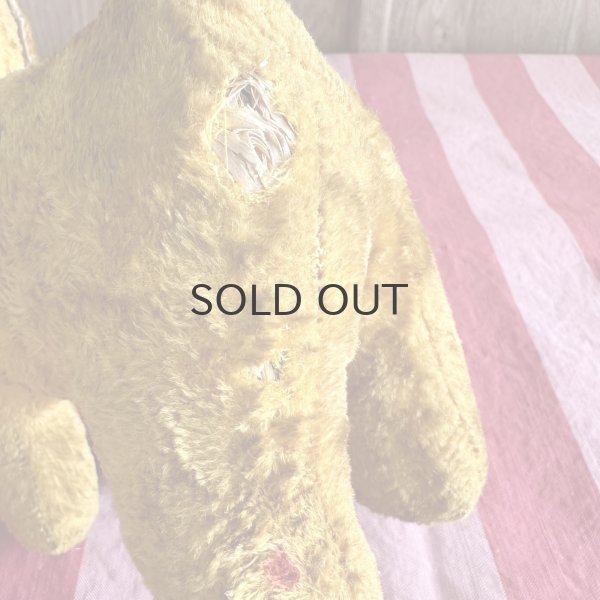 画像6: フランス・ヴィンテージ  黄色いわんこ　グラスアイ　