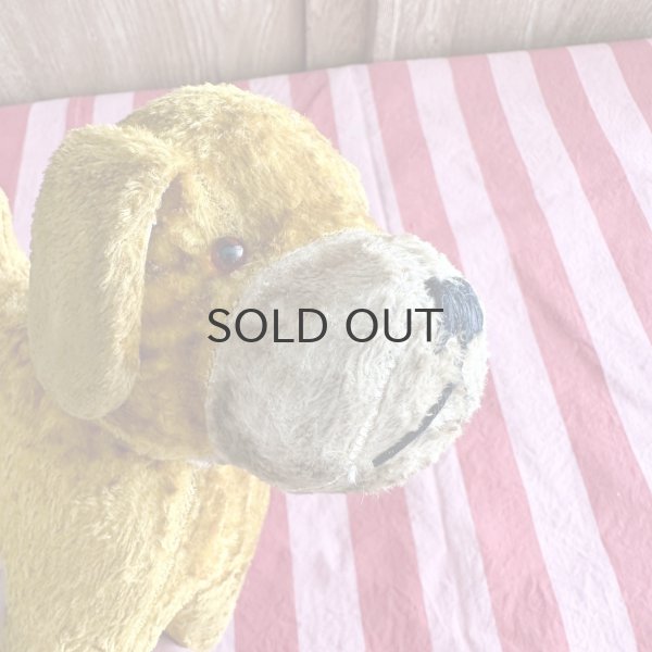 画像10: フランス・ヴィンテージ  黄色いわんこ　グラスアイ　