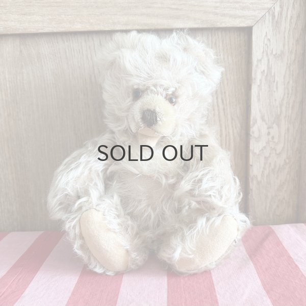 画像1: ドイツ・ヴィンテージ ゾッティタイプ　赤ちゃんみたいなベア　26cm