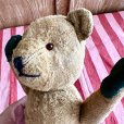 画像7: ドイツ・アンティーク　テディベア　耳なしくん　31cm グラスアイ