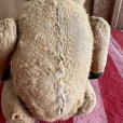 画像5: ドイツ・アンティーク　テディベア　耳なしくん　31cm グラスアイ