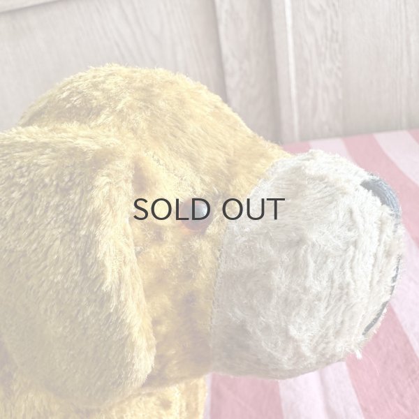 画像8: フランス・ヴィンテージ  黄色いわんこ　グラスアイ　