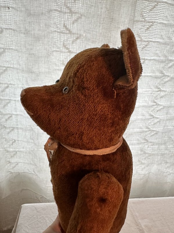 画像4: フランス・ヴィンテージ  青い瞳のブラウンベア　52cm 5ジョイント