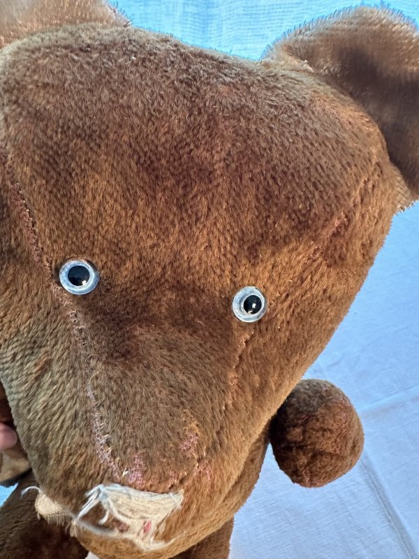 画像6: フランス・ヴィンテージ  青い瞳のブラウンベア　52cm 5ジョイント