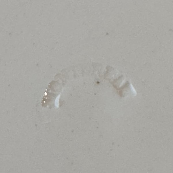 画像6: フランス・アンティーク Creil et Montereau　クレイユモントロー オクトゴナル平皿