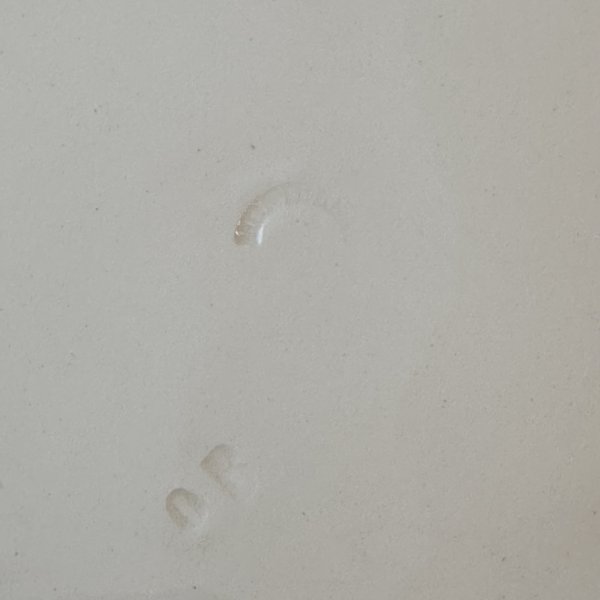 画像5: フランス・アンティーク Creil et Montereau　クレイユモントロー オクトゴナル平皿