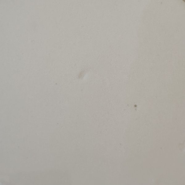 画像7: 【送料無料】フランス・アンティーク Creil et Montereau　クレイユモントロー オクトゴナル深皿