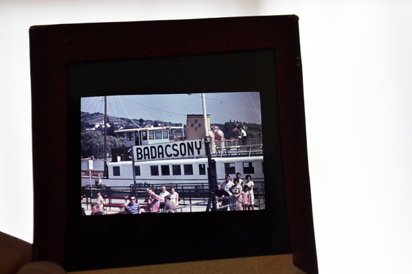 ドイツ・ヴィンテージ 写真乾板（ガラス乾板）3枚/D ヨーロッパAntique&Brocante Zakka Room Cozy*Cozy